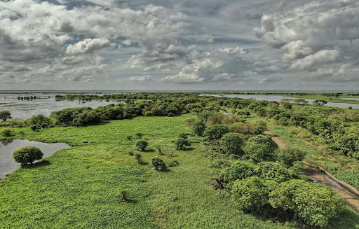 Lokkhi Baor: A Hidden Swamp Paradise in Bangladesh