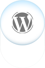 wordpress by sk abir ali